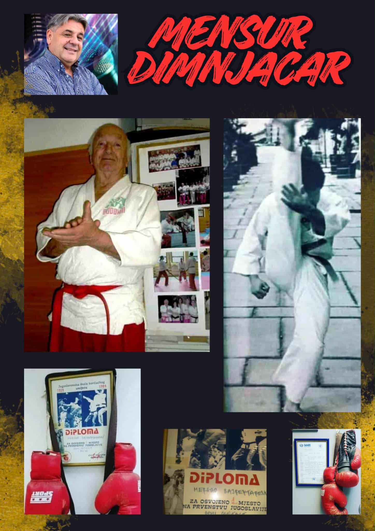 Euro Stars - Mensur Bajraktarevic